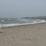Hurricane Irene