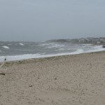 Hurricane Irene