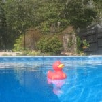 Cape Cod Inn with Pool