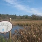 Cape Cod Hiking