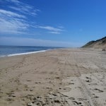 beautiful beach on Cape Cod with a beautiful blue sky and a few clouds