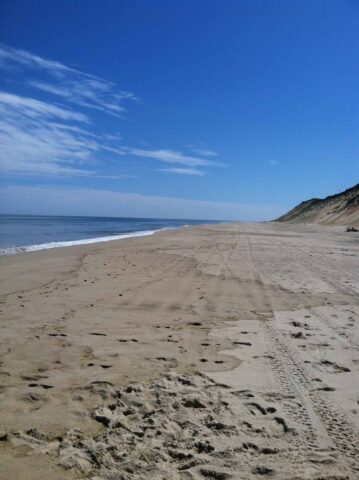 beautiful beach on Cape Cod with a beautiful blue sky and a few clouds