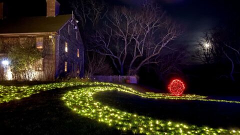 Green and red lights decorate a nighttime landscape