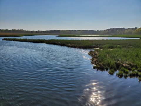 Estuary waters at Bell's Neck