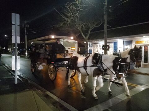 Nighttime photo of a horse driven sleigh