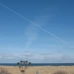 Cape Cod Beach