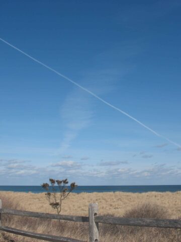 brown grasses lead to the ocean, with a blue sky and coulds