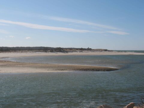 sandy beach near the ocean