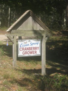 Cranberry Farm, Harwich