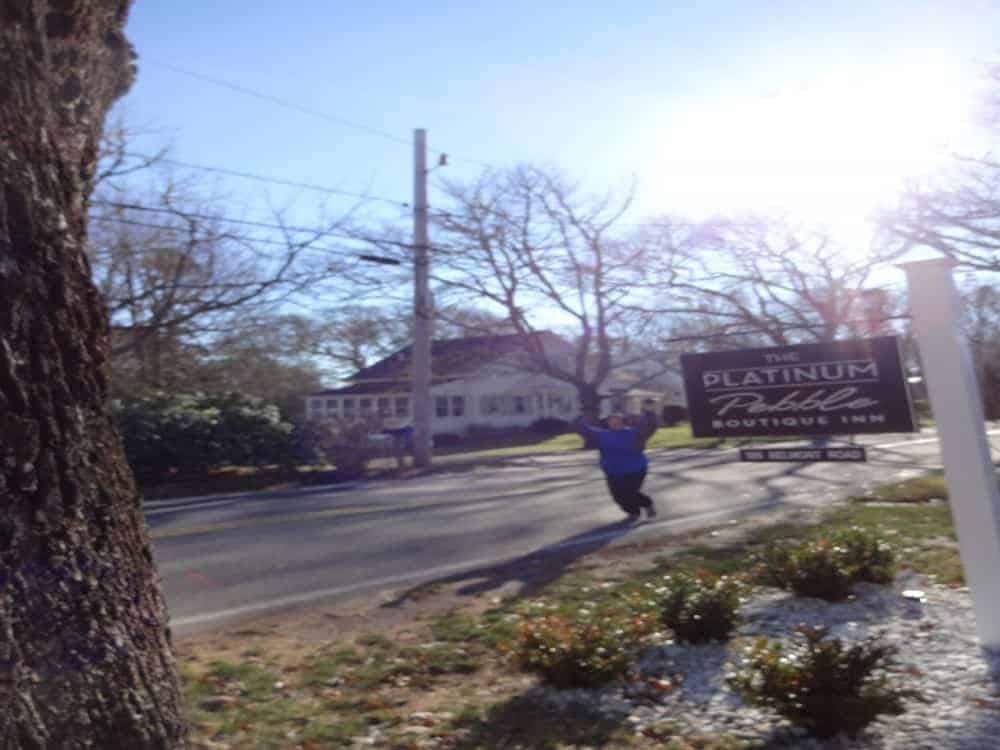 Cape Cod Thanksgiving