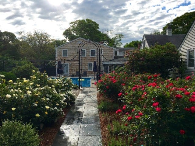 Cape Cod Garden