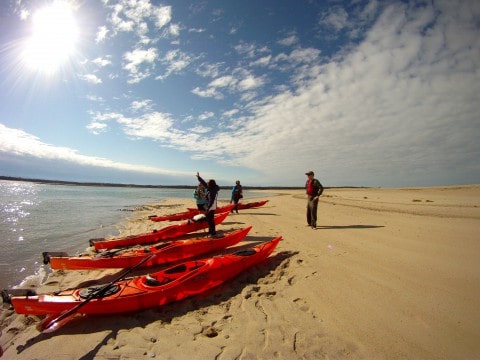 Cape Cod Adventures