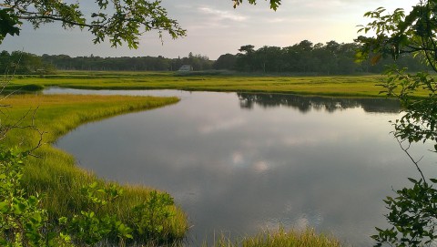 an estuary in Bell's Neck Conservation land
