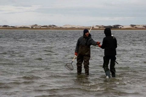 Cape Cod Vacation Ideas Clamming