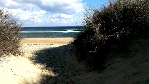 Cape Cod Vacation Ideas Day Trip to Provincetown