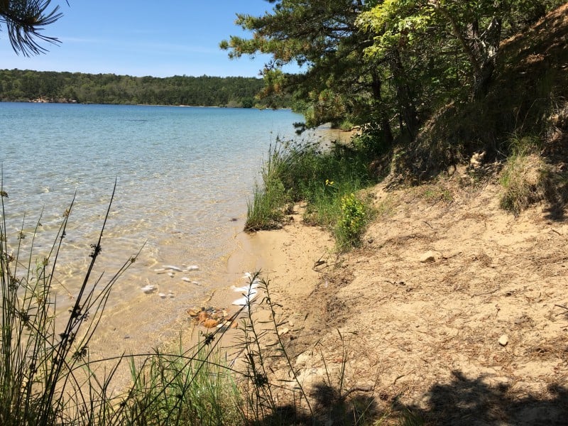 Cape Cod Bike Trail