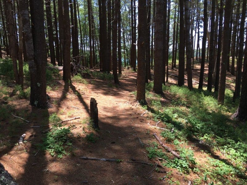 Cape Cod Bike Trail