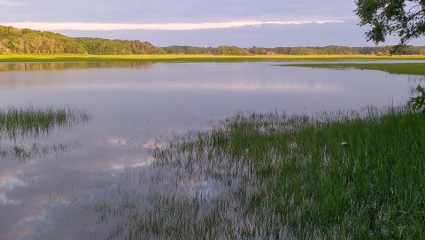 Cape Cod Hiking Trails