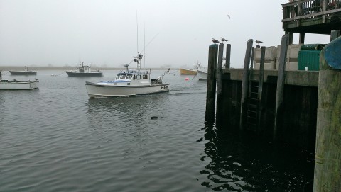 Christmas on Cape Cod