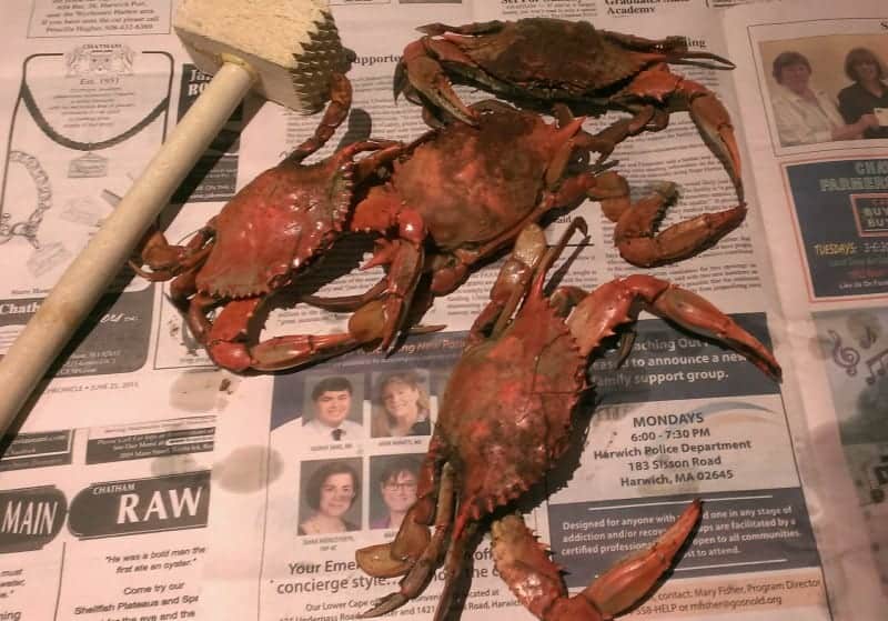 cooked crabs turned red, sitting on a newspaper with a wooden hammer to the side