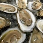 Shuck an Oyster