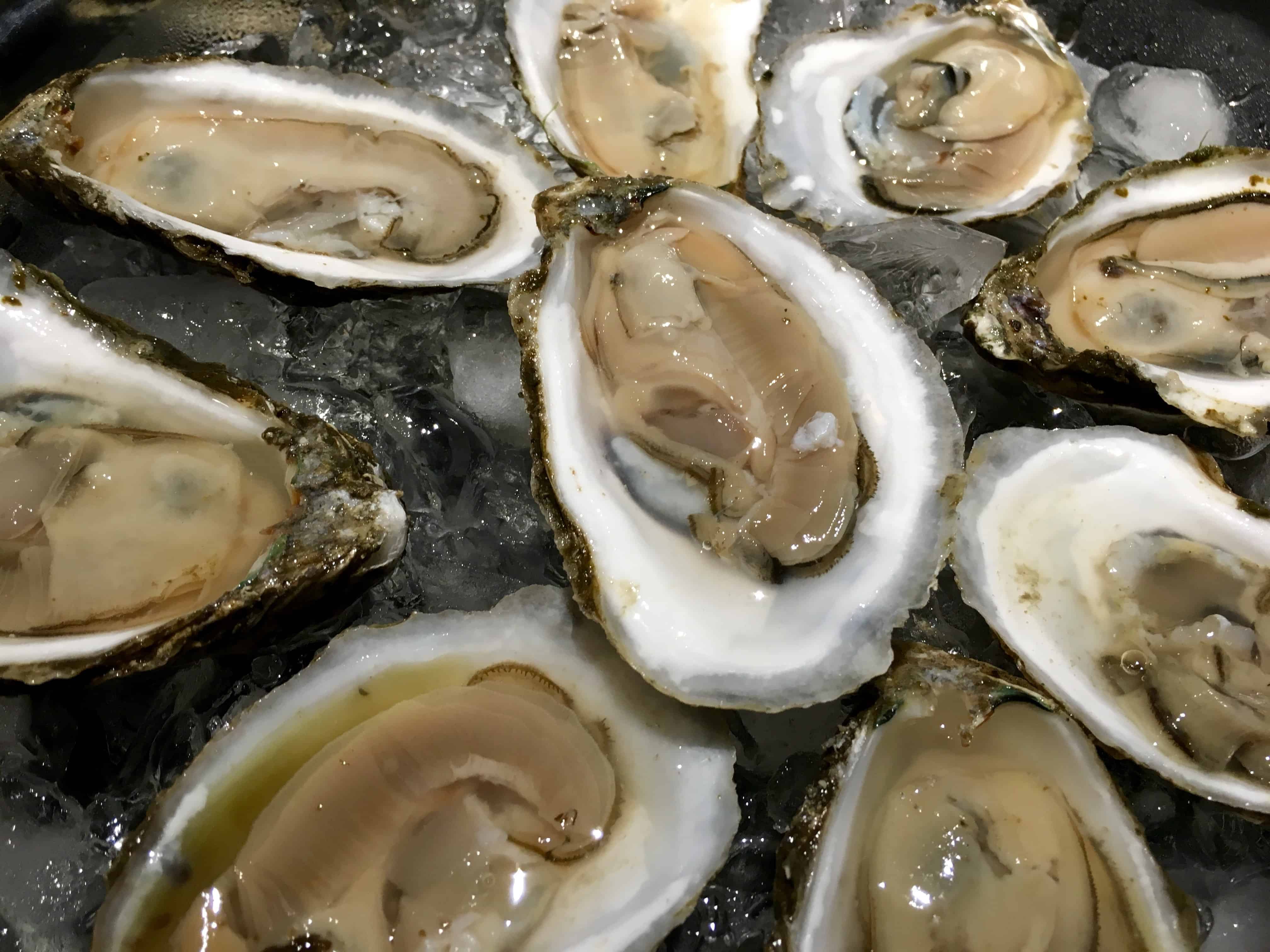 How to Shuck an Oyster in 3 Easy Steps The Platinum