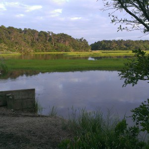 Cape Cod Hiking Trails