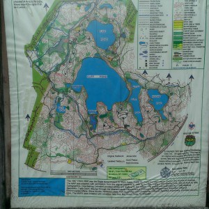 Cape Cod Hiking Trails