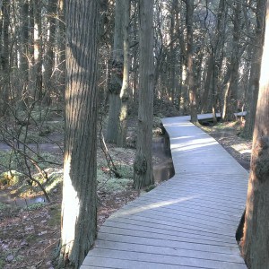 Cape Cod Hiking Trails