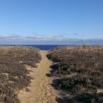 Cape Cod Hiking Trails