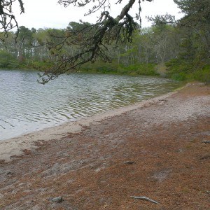 Cape Cod Hiking Trails