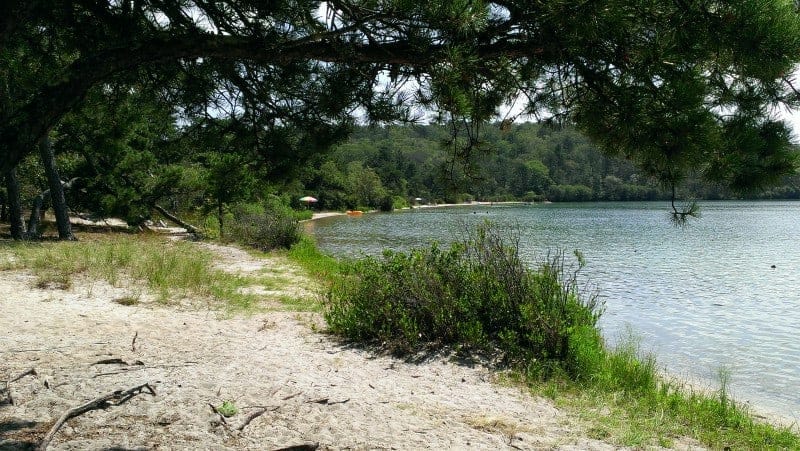 Things to do in Cape Cod