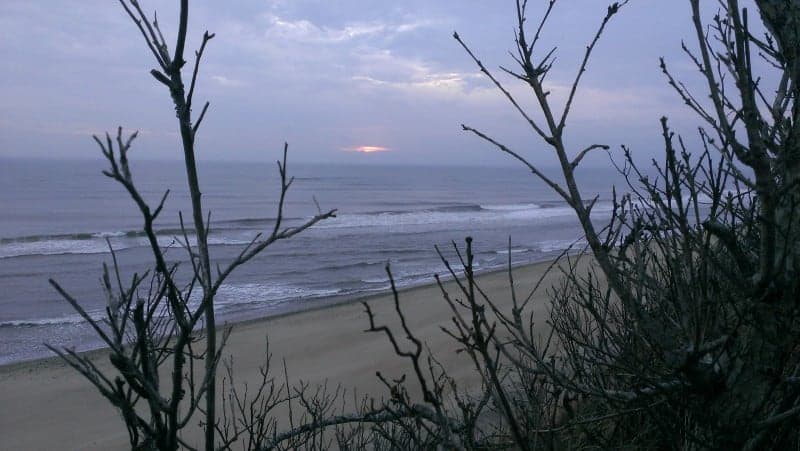 Things to do in Cape Cod