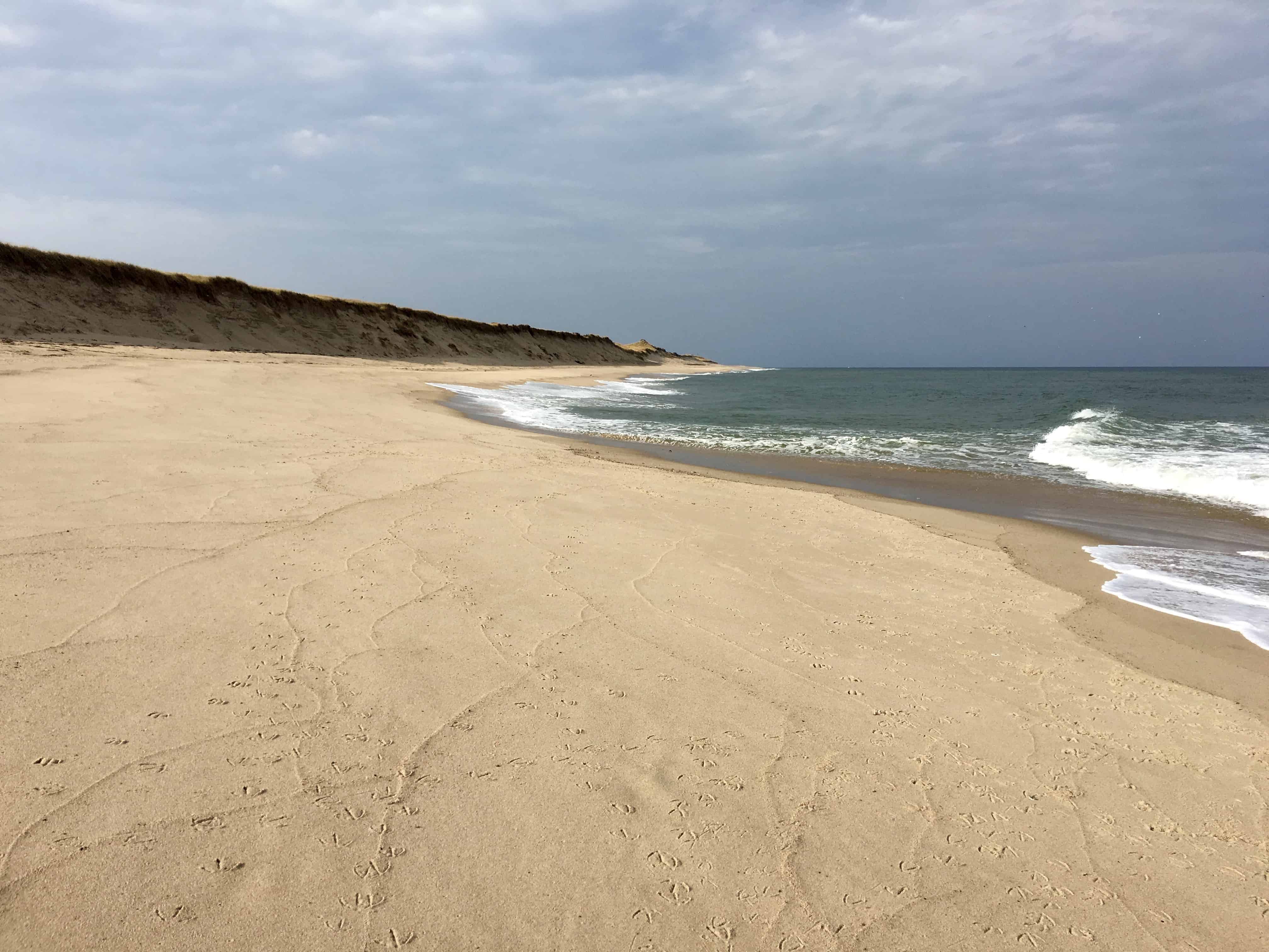 How to Spoil Yourself  Top 7 Cape Cod Beaches  The 