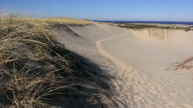 A wide sandy path at the Provincetown dunes with green seagrass around the edges. Many footprints in the sand.