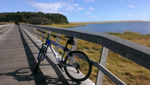 A walking/biking bridge in Welfleet runs over the marshes towards a secluded island