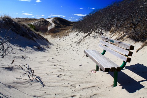 a sandy path with a wooden bench off to the side.  dunes covered with vegetation on each side