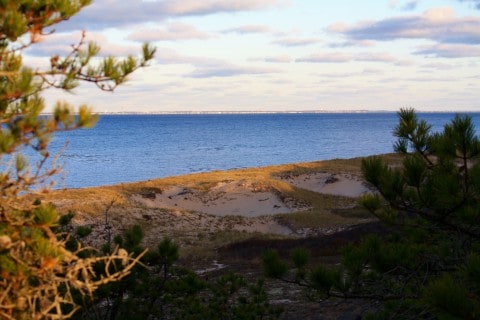 dunes and beach by the sea