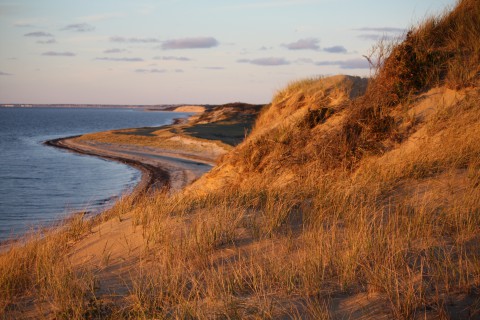 at sunset the dried sea grasses turn orange beside a calm sea