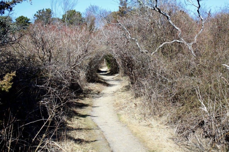 Best Cape Cod Beaches