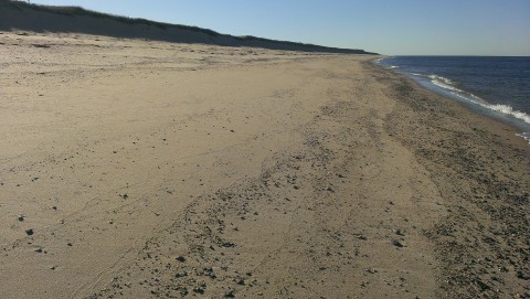 a vast sandy beach