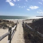 Cape Cod Day Trip