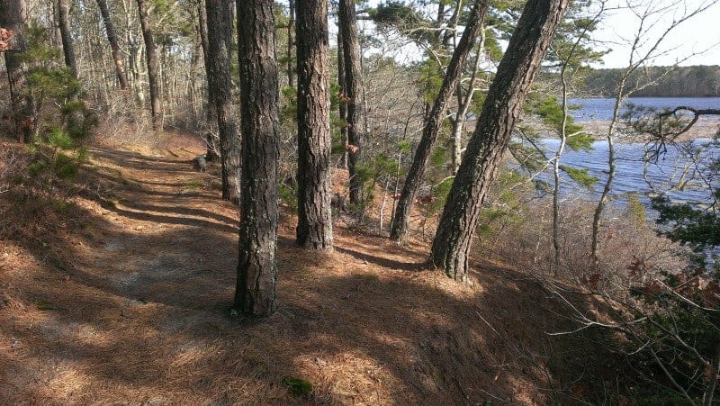 Swimming holes on Cape Cod