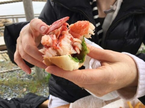 a person holding a lobster roll