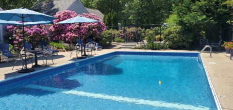 Beautiful blue outdoor pool surround by tables with blue umbrellas and pinkish purple rhododendrom shrubs
