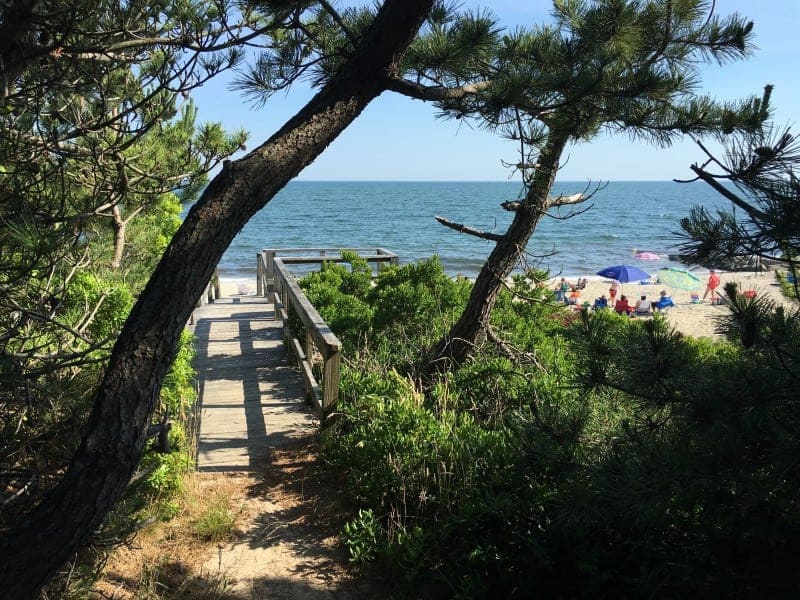 photo of a wood boardwalk under trees leading to a sandy beach by the ocean
