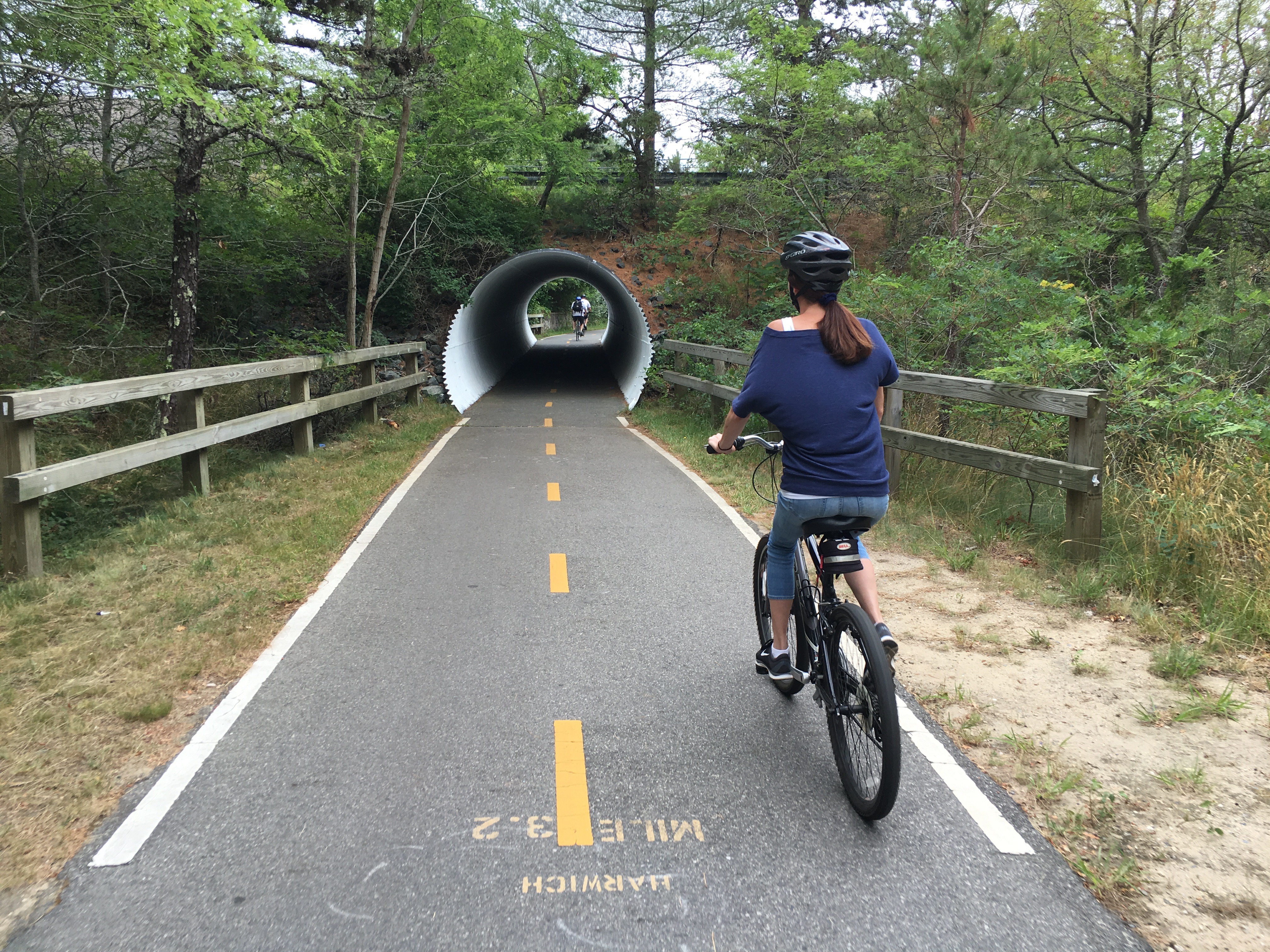 bike path national seashore cape cod visitor center bike path national seashore cape cod visitor center