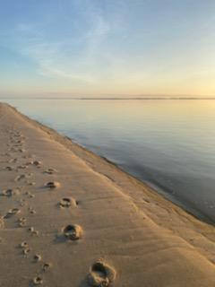 A sandy beach at sunset with foot prints in the sand