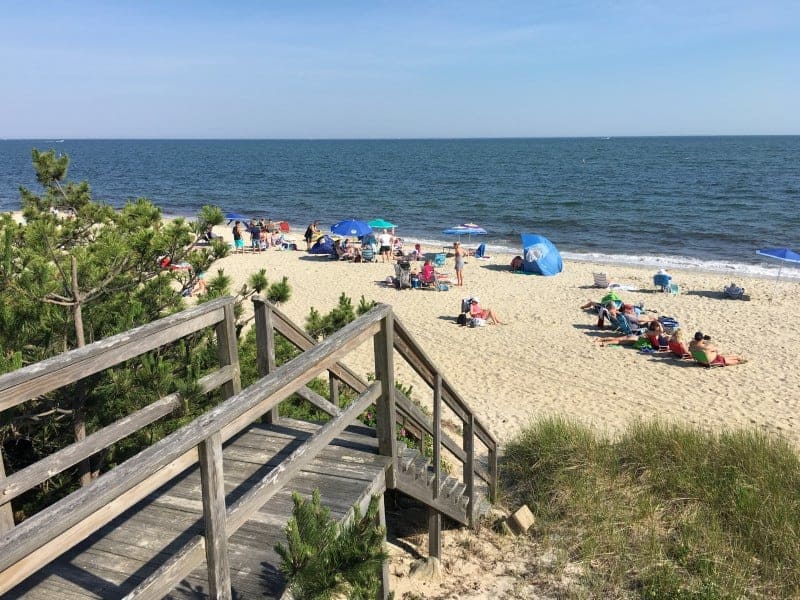 wooden stairs lead to a beach by the ocean with lots of people sun bathing