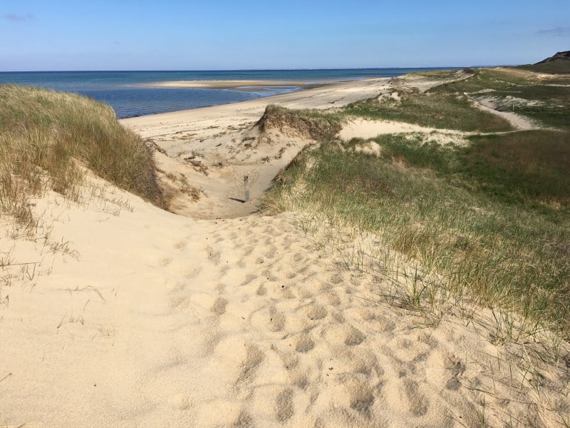 sandy dunes and paths lead to the ocean